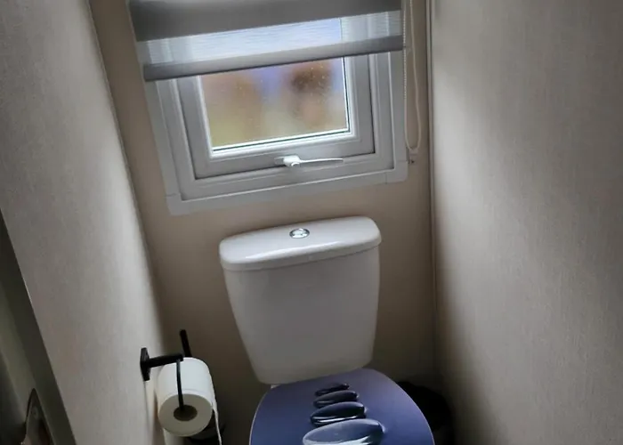 Frieda Am See, Naehe Arnheim Vakantiehuis Lathum