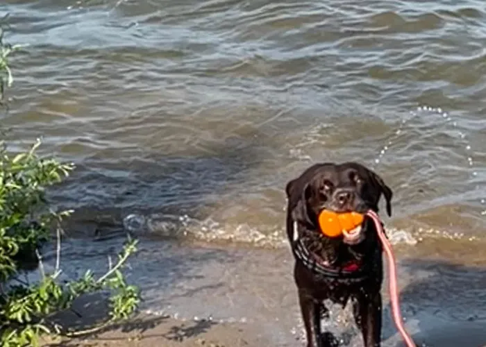 Frieda Am See, Naehe Arnheim * Lathum